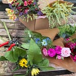 The Blooming Bees Box – Postal Flowers